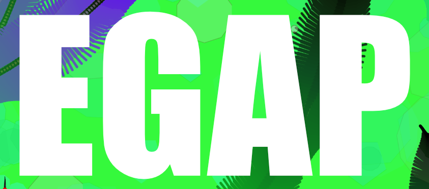 NFT MUSEUM Announches the Emerging Digital Artist Program